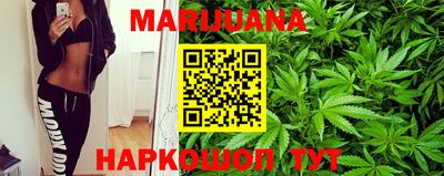 apvp Свободный