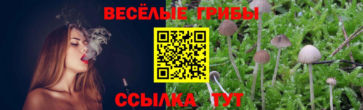 Омск  Псилоцибиновые грибы MAGIC MUSHROOMS  Вход с VPN 